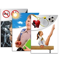 Модель-аппликация "Здоровье человека" - «globural.ru» - Чайковский