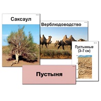 Модель-аппликация "Природные зоны России" - «globural.ru» - Чайковский