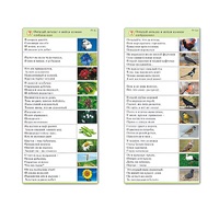 Комплект карточек (10) "Обучающий калейдоскоп. Природа" - «globural.ru» - Чайковский