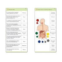 Комплект карточек (10) "Обучающий калейдоскоп. Человек" - «globural.ru» - Чайковский