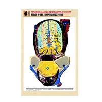 Рельефная таблица "Долька печени. Макро-микростроение" (формат А1, матовое ламинир.) - «globural.ru» - Чайковский