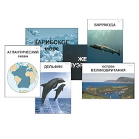 Модель-аппликация "Океаны. Знакомство" (ламинированная) - «globural.ru» - Чайковский