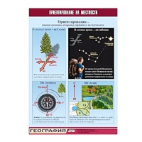 Таблица демонстрационная "Ориентирование на местности" (винил 70х100) - «globural.ru» - Чайковский