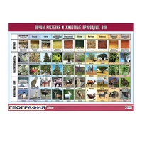 Таблица демонстрационная "Почвы, растения и животные природных зон" (винил 70x100) - «globural.ru» - Чайковский