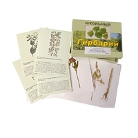 Гербарий "Систематика растений. Семейство Бобовые. Злаки" (раздаточный) - «globural.ru» - Чайковский