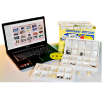 Коллекция натурально-интерактивная "Пластмассы" - «globural.ru» - Чайковский