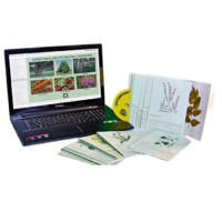 Гербарий натурально-интерактивный "Лекарственные растения" - «globural.ru» - Чайковский