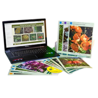 Гербарий натурально-интерактивный "Основные группы растений. Грибы. Лишайники" - «globural.ru» - Чайковский