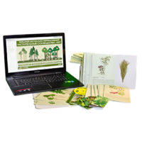 Гербарий натурально-интерактивный "Растительные сообщества. Лес" - «globural.ru» - Чайковский