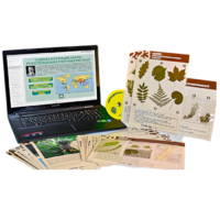 Гербарий натурально-интерактивный к курсу основ общей биологии - «globural.ru» - Чайковский