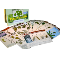 Гербарий к курсу основ общей биологии - «globural.ru» - Чайковский