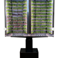 Вертикальная  ферма «Моя микрозелень» комплектация  «Театро настенная» - «globural.ru» - Чайковский