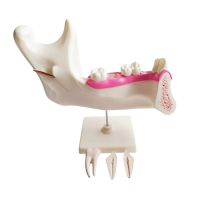 Комплект моделей - «globural.ru» - Чайковский