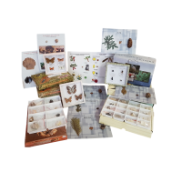 Комплект коллекций демонстрационный - «globural.ru» - Чайковский