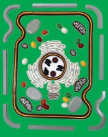 Модель-аппликация Строение клетки - «globural.ru» - Чайковский