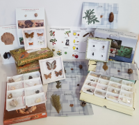 Комплект коллекций демонстрационный (по разным темам курса биологии) - «globural.ru» - Чайковский