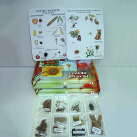 Коллекция "Семена и плоды с раздаточным материалом" - «globural.ru» - Чайковский