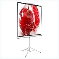 Экран на штативе DSKD-1106 - «globural.ru» - Чайковский