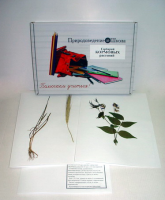 Гербарий "Кормовые растения" (20 видов) - «globural.ru» - Чайковский