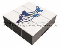 Куб «Дельфин» - «globural.ru» - Чайковский