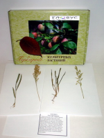 Гербарий Культурные растения (28 видов) - «globural.ru» - Чайковский
