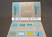 Коллекция "Лен для начальной школы" - «globural.ru» - Чайковский