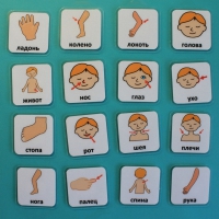 Набор карточек "Части тела" - «globural.ru» - Чайковский