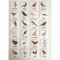 Набор карточек "ПТИЦЫ" - «globural.ru» - Чайковский