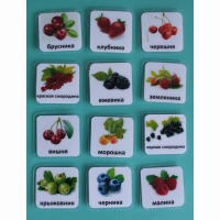 Набор карточек "Ягоды" - «globural.ru» - Чайковский