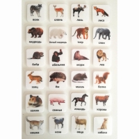 Набор карточек "ЖИВОТНЫЕ" - «globural.ru» - Чайковский