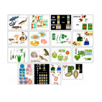 Комплект моделей-аппликаций демонстрационный - «globural.ru» - Чайковский