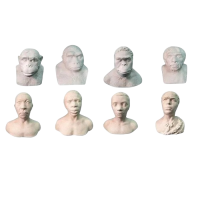 Набор палеонтологических муляжей - «globural.ru» - Чайковский