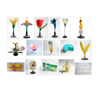 Комплект ботанических моделей демонстрационный - «globural.ru» - Чайковский