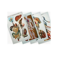 Таблицы рельефные - «globural.ru» - Чайковский