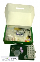 Миникейс учащегося «Начальная школа» - «globural.ru» - Чайковский