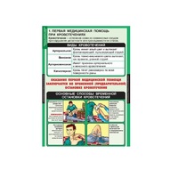 ОБЖ Правила оказания первой медицинской помощи (комплект таблиц) - «globural.ru» - Чайковский
