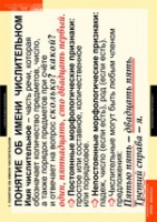 Русский язык. Числительное и местоимение (комплект таблиц) - «globural.ru» - Чайковский