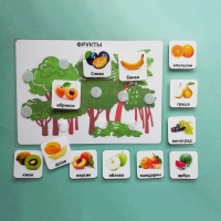 Пособие "Овощи и фрукты" - «globural.ru» - Чайковский