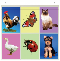 Касса "Предметные картинки" - «globural.ru» - Чайковский