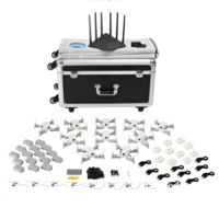 Рой дронов (10 дронов) - «globural.ru» - Чайковский