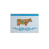 Стенд-планшет светодинамический "Изучение нервной системы сельскохозяйственных животных" со сменными панелями - «globural.ru» - Чайковский