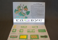 Коллекция «Шелк» для начальной школы - «globural.ru» - Чайковский