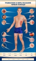 Электрифицированный стенд-тренажер "Травматизм и меры оказания первой помощи" - «globural.ru» - Чайковский