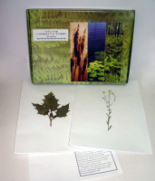 Гербарий "Сорные растения" (24 вида) - «globural.ru» - Чайковский