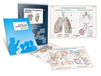 Комплект транспарантов «Человек и его здоровье. Дыхание» - «globural.ru» - Чайковский