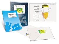 Комплект транспарантов «Корень. Стебель. Лист (Внутреннее строение)» - «globural.ru» - Чайковский