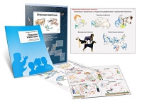 Комплект транспарантов «Опасные животные» - «globural.ru» - Чайковский