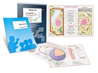 Комплект транспарантов «Цитология» - «globural.ru» - Чайковский