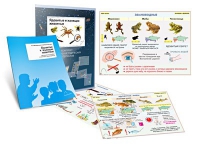 Комплект транспарантов «Ядовитые и жалящие животные» - «globural.ru» - Чайковский