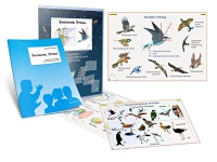 Комплект транспарантов «Зоология. Птицы» - «globural.ru» - Чайковский